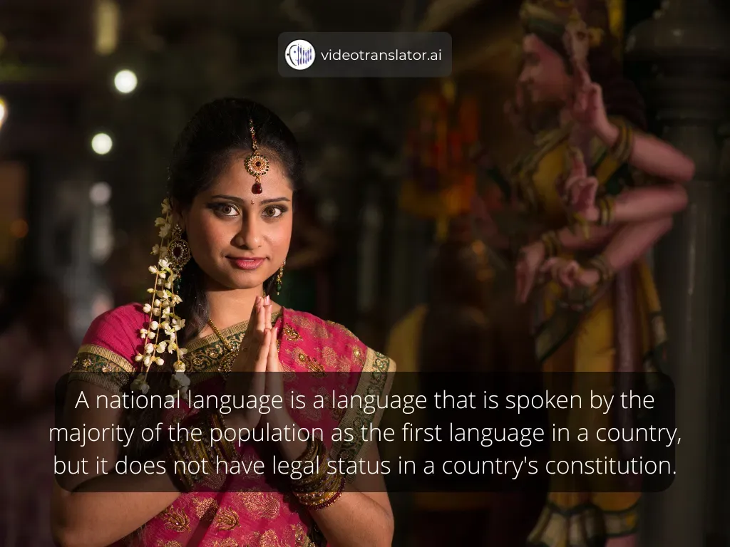 National language definition