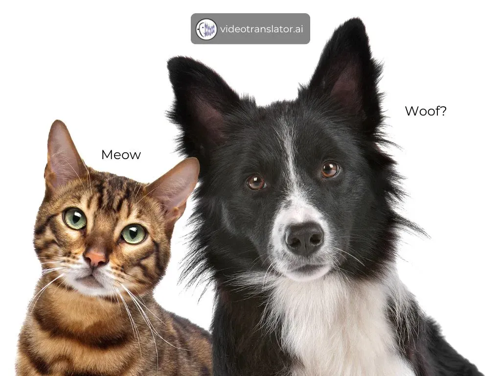 Dog vs Cat language