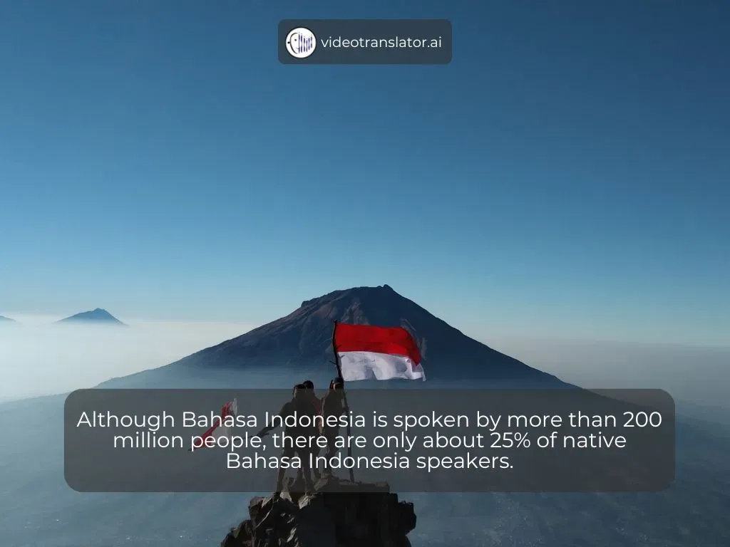 Indonesian is mostly used as a second language