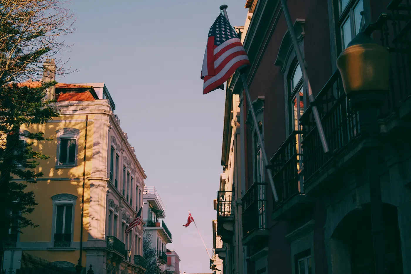 Photo by Bodega on Unsplash