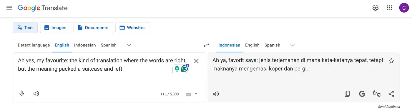 Test #67- Google Translate misses my sarcasm, turning it into an awkwardly literal translation that doesn’t capture the intended humour.