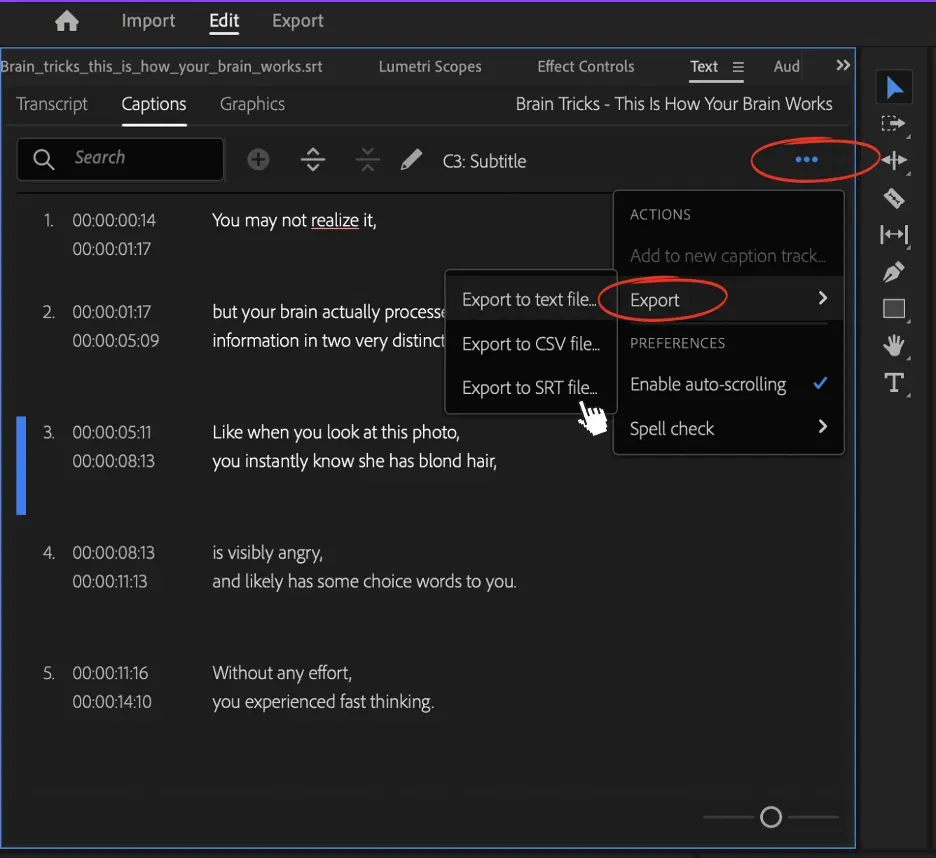 download SRT - Adobe Premiere Pro 2024