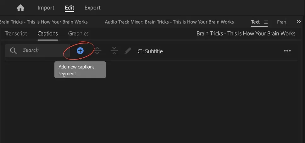 add new caption segment - adobe premiere pro 2024