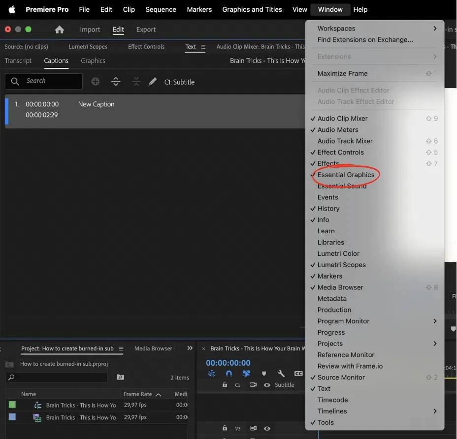 essential graphic - adobe premiere pro 2024